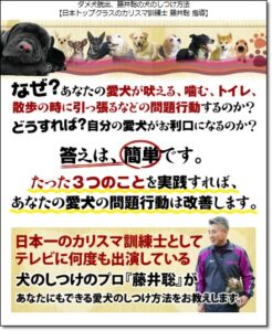 藤井聡の犬のしつけ方法公式サイトのトップイメージ