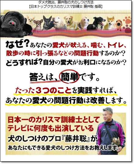 藤井聡の犬のしつけ方法公式サイトのトップイメージ