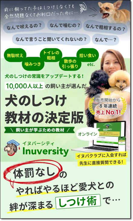 イヌバーシティ公式サイトのトップイメージ